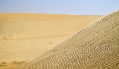 Sandy dünya Kuzey Afrika'da