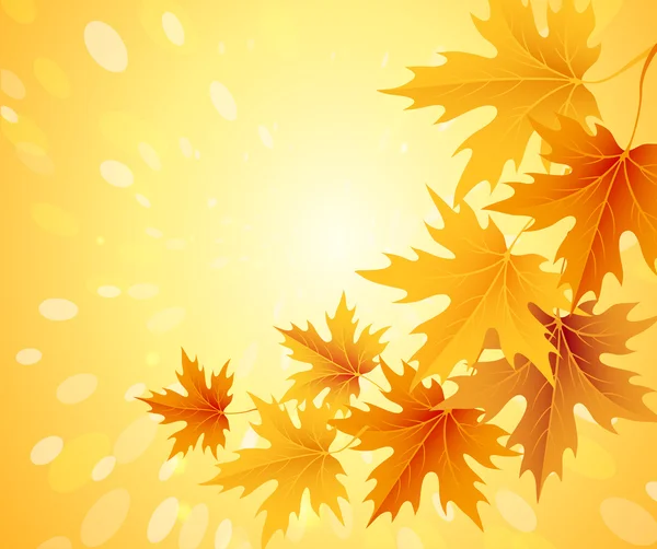 Autumn leaves background.Vector. — Stock Vector
