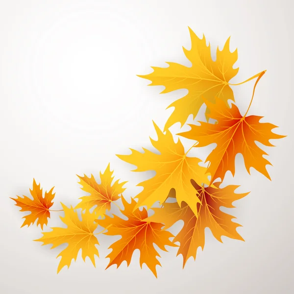 Autumn maples falling leaves background. — Stock Vector
