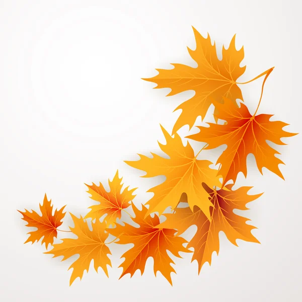 Autumn maples falling leaves background. — Stock Vector