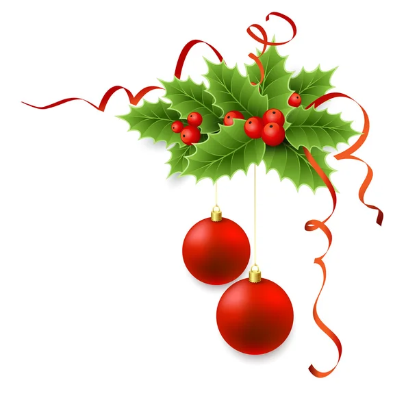 Vector Christmas holly with berries. — Stock Vector