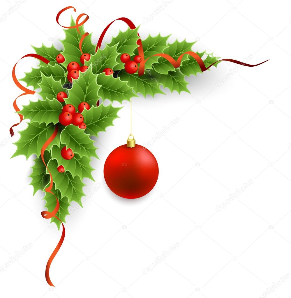 Vector Christmas holly with berries.