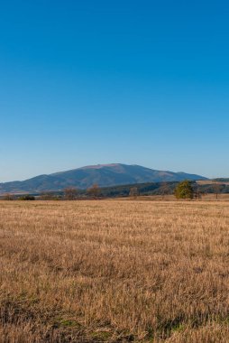 Metin kopyalamak için boşluk kuru saman alanı, temiz bir yol, sıcak renk, bulgarya kırsal manzara, açık mavi gökyüzü.