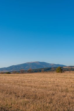 Metin kopyalamak için boşluk kuru saman alanı, temiz bir yol, sıcak renk, bulgarya kırsal manzara, açık mavi gökyüzü.