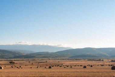 Temiz bir yolu olan kuru saman tarlası. Sıcak renkli Bulgar kırsal bölgesi. Gün ışığı berrak mavi gökyüzü.