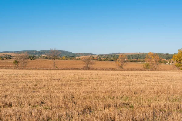 テキストコピースペースのためのスペース明確なカットパスを持つ乾燥干し草のフィールド暖かい色ブルガリア農村風景太陽の日澄んだ青い空 — ストック写真