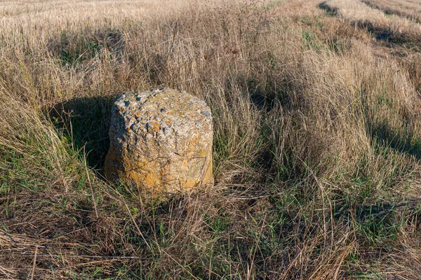 Espacio Para Copiar Texto Espacio Seco Campo Heno Con Una — Foto de Stock