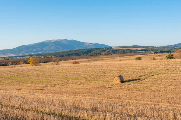 明確なカットパス暖かい色ブルガリア農村風景日澄んだ青い空と乾燥干し草のフィールド — ストック写真