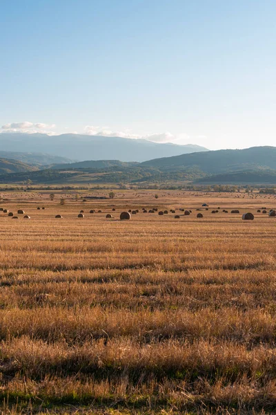 明確なカットパス暖かい色ブルガリア農村風景日澄んだ青い空と乾燥干し草のフィールド — ストック写真