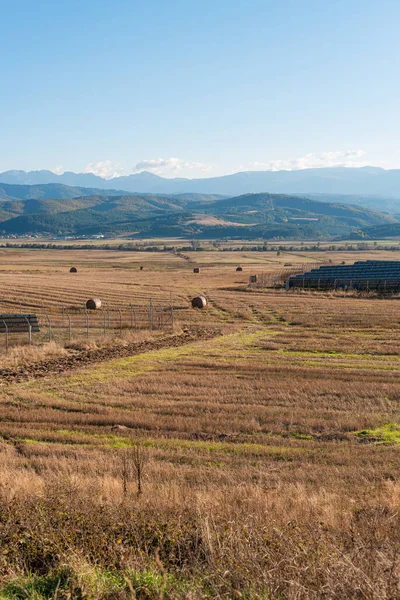 テキストコピースペースのためのスペース明確なカットパスを持つ乾燥干し草のフィールド暖かい色ブルガリア農村風景太陽の日澄んだ青い空 — ストック写真