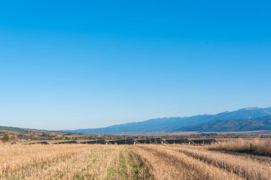 Sarı tarlalar, güneş paneli istasyonunun yanında toplanıyor. Metin Bulgaria Dağları için fotokopi alanı. Teknik demetler saman demetleri tarlaya saçıldı.