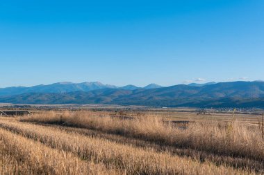 Sarı tarlalar, güneş paneli istasyonunun yanında toplanıyor. Metin Bulgaria Dağları için fotokopi alanı. Teknik demetler saman demetleri tarlaya saçıldı.
