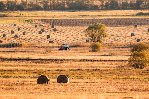 Lonely tractor harvest hay field crop stubble golden yellow orange autumn mountain background massive bulgaria technology machine agriculture copy space for text