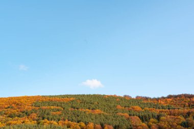 Sonbahar yamaçlarında renkli ağaçlarla kaplı orman keskin detayları turuncu yeşil dağ manzarası mavi gökyüzü açık bulgarya metin için kopyalama alanı