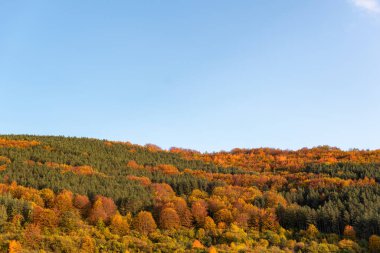 Sonbahar yamaçlarında renkli ağaçlarla kaplı orman keskin detayları turuncu yeşil dağ manzarası mavi gökyüzü açık bulgarya metin için kopyalama alanı