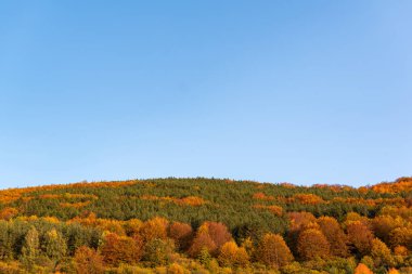 Sonbahar yamaçlarında renkli ağaçlarla kaplı orman keskin detayları turuncu yeşil dağ manzarası mavi gökyüzü açık bulgarya metin için kopyalama alanı