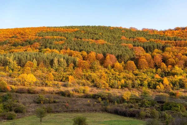 Sonbahar yamaçlarında renkli ağaçlarla kaplı orman keskin detayları turuncu yeşil dağ manzarası mavi gökyüzü açık bulgarya metin için kopyalama alanı