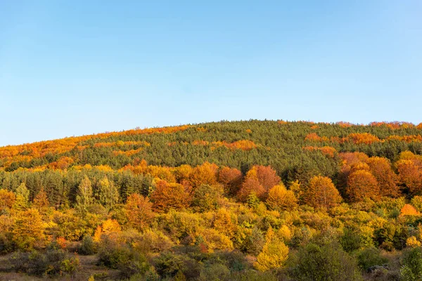 Sonbahar yamaçlarında renkli ağaçlarla kaplı orman keskin detayları turuncu yeşil dağ manzarası mavi gökyüzü açık bulgarya metin için kopyalama alanı