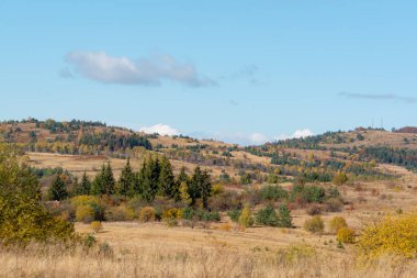 Güzel altın sonbahar dağı, doğa fotoğrafçılığını, doğa manzarasını, vahşi doğayı, açık hava gününü, Bulgaria 'yı, metin için kopyalama alanını sallar.