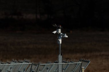 Ormanda gizlenmiş güvenlik kameraları. Güvenli yer teknolojisi. Karanlık kıyamet günlerini gözetliyor.