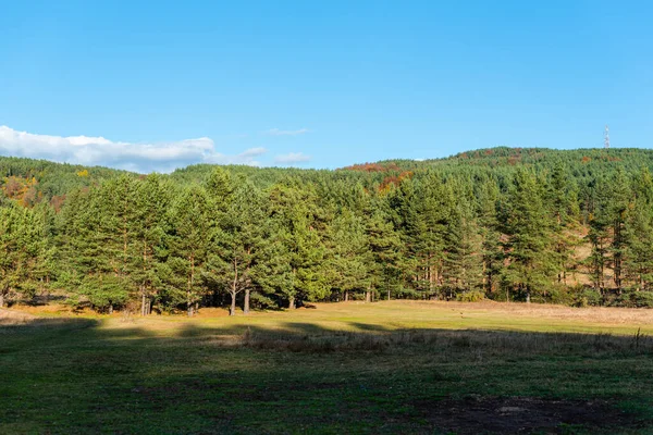 Hösten Landskap Grön Varm Orange Skog Med Klarblå Himmel Solig — Stockfoto