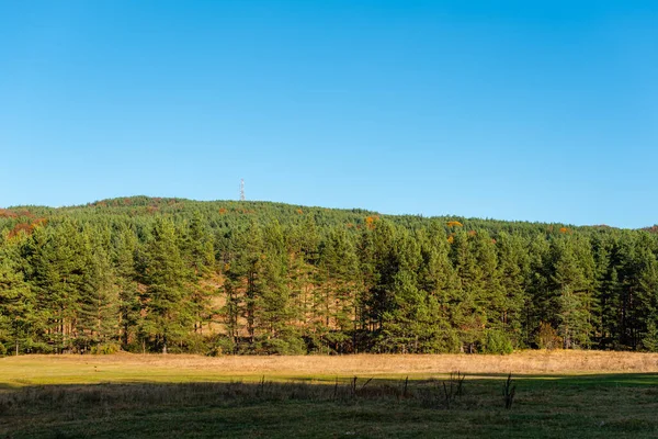 Hösten Landskap Grön Varm Orange Skog Med Klarblå Himmel Solig — Stockfoto