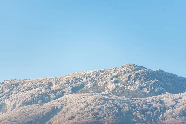 Eerste Sneeuw Bos Heuvel Berg Wit Overdekte Bomen Heldere Lucht — Stockfoto