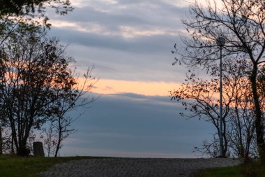 Doğanın dalları arasından şehrin parlak günbatımı manzarası tepenin üstünde.