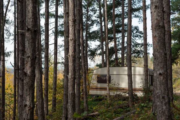 Abandoned Caravan Motorhome Woods Symmetry Contrast Sharp Details Vivid Colors — Stock Photo, Image