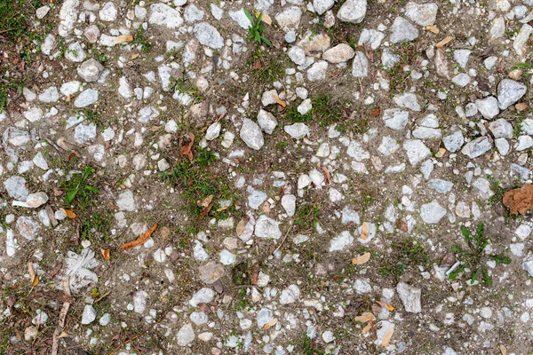 Small Grass Growing Pebbles Public Path Texture — Stock Photo, Image