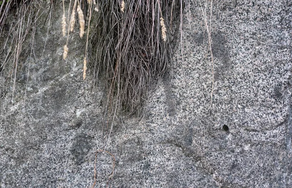 Teksturowane Kamienne Tło Małe Cięcia Twardej Powierzchni — Zdjęcie stockowe