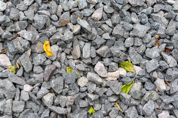 Little Gray Pebbles Texture Grass Leaves Sharp Focus — Stock Photo, Image