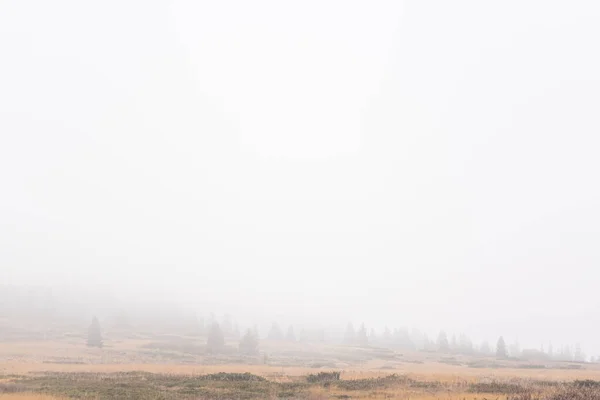 Minimalistisch mist mistig berglandschap met herfst rotsachtige toppen bij regenachtig weer in Vitosha, Sofia, Bulgarije — Stockfoto