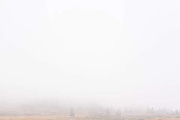 Minimalista nebbia nebbia paesaggio montano con picchi rocciosi autunno in caso di pioggia a Vitosha, Sofia, Bulgaria — Foto Stock