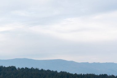 Dağlar minimalist stil manzarası Çam ağacı ormanı mavi bulutlu gökyüzü