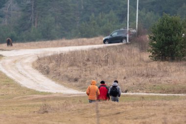 Parlak renkli ceketli bir grup yürüyüşçü orman yolundaki sonbahar vadisinde seyahat ediyor.