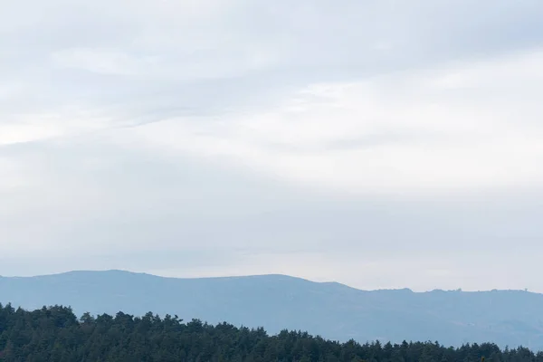 Bergen landschap minimalistische stijl schilderachtig met dennenbos blauwe bewolkte hemel — Stockfoto