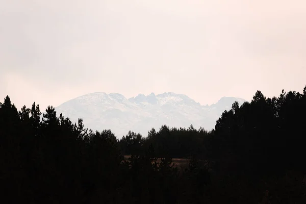 Utsikt över djup dimmig dal i Bulgariens nationalpark, Europa topp kulle ovanför dalen bakom träd vit dimmig himmel hög kontrast fotografi — Stockfoto