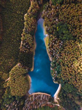 Gökyüzünden güzel bir sonbahar ormanının insansız hava aracı görüntüsü