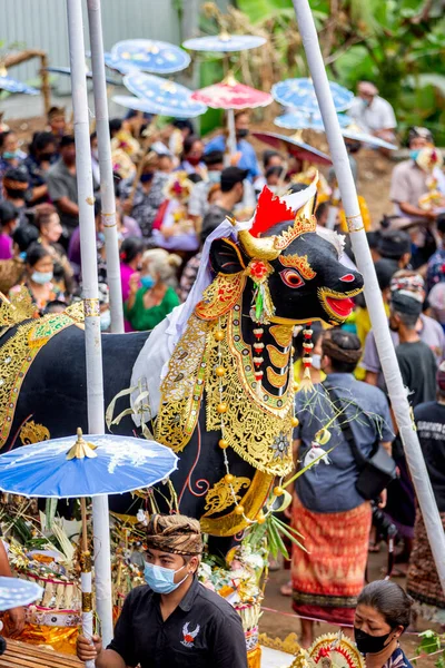 Kremering Tjur Bali Kremering Ceremoni Covid Tid — Stockfoto