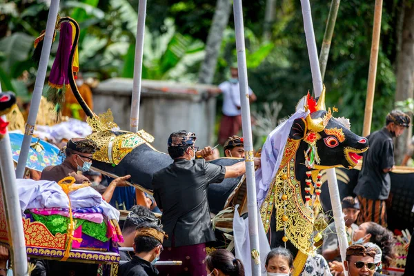 Bali Yakma Töreni Boğası — Stok fotoğraf