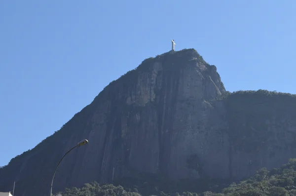 Brasiliano — Foto Stock