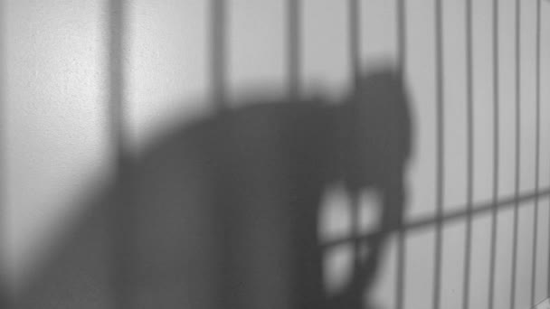 壁の男と刑務所棒の影 — ストック動画