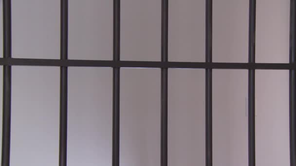 Beamter legte Häftling Handschellen an — Stockvideo