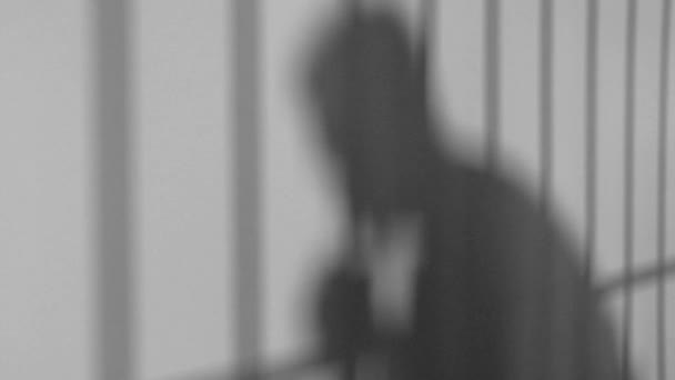 Sombras del hombre y barras de la cárcel en la pared — Vídeos de Stock