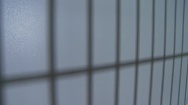 ombre des barreaux de prison sur le mur 