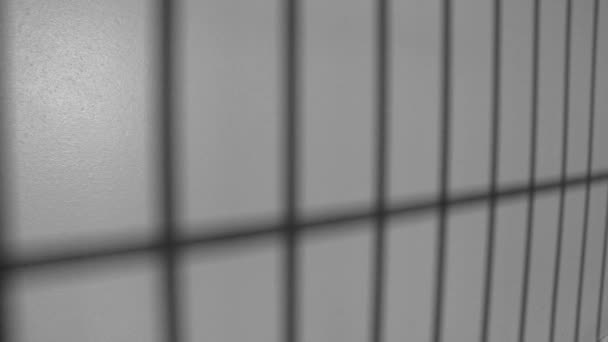 ombre des barreaux de prison sur le mur 