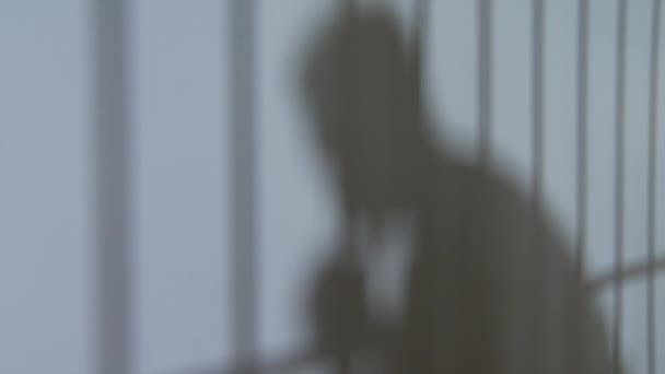Stíny člověka a vězení pruhy na zdi — Stock video