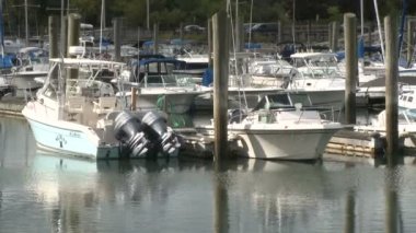 Yat limanında demirlemiş tekneler