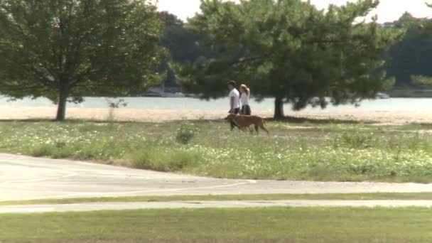 夫妇采取狗散步在公园 (2 的2) — 图库视频影像
